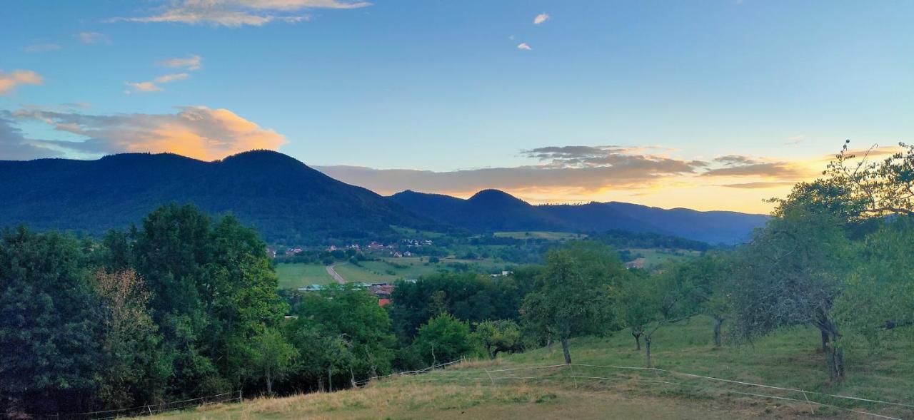 Sauna Spa La Bellevue Triembach-au-Val Εξωτερικό φωτογραφία